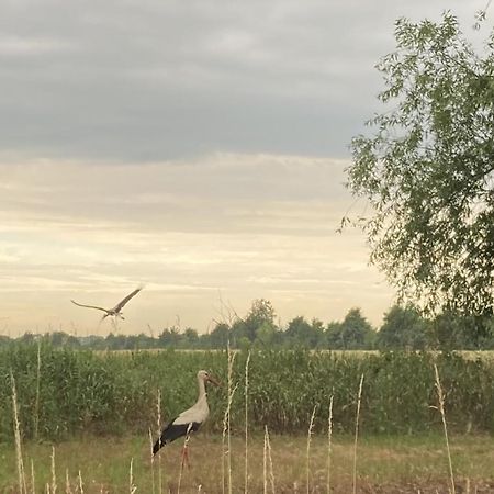 Ferienwohnung Fuchsberge Letschin Buitenkant foto