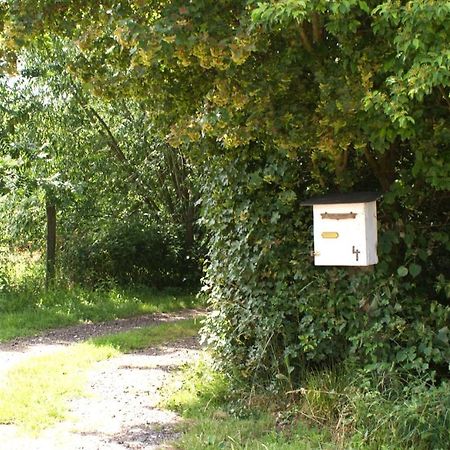 Ferienwohnung Fuchsberge Letschin Buitenkant foto
