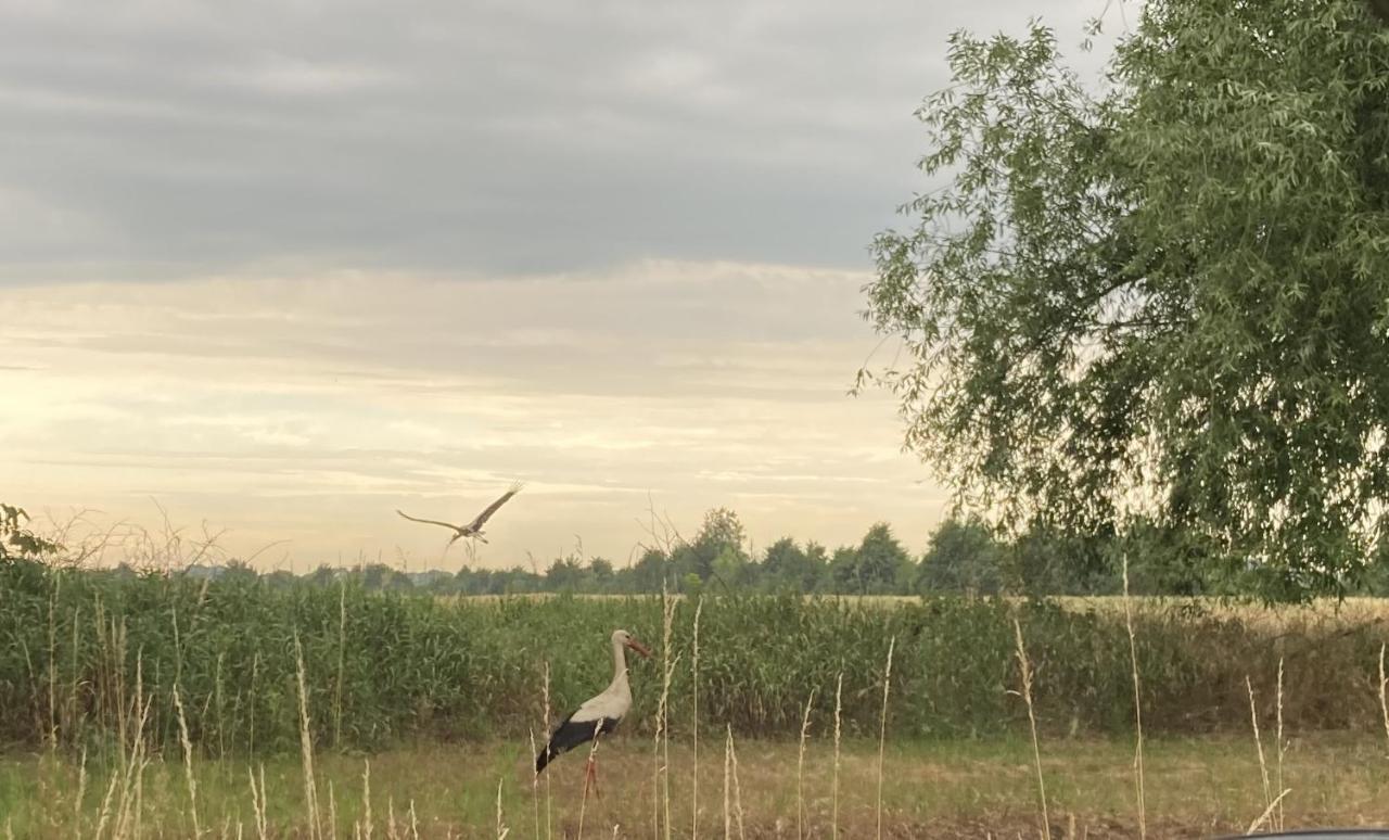 Ferienwohnung Fuchsberge Letschin Buitenkant foto