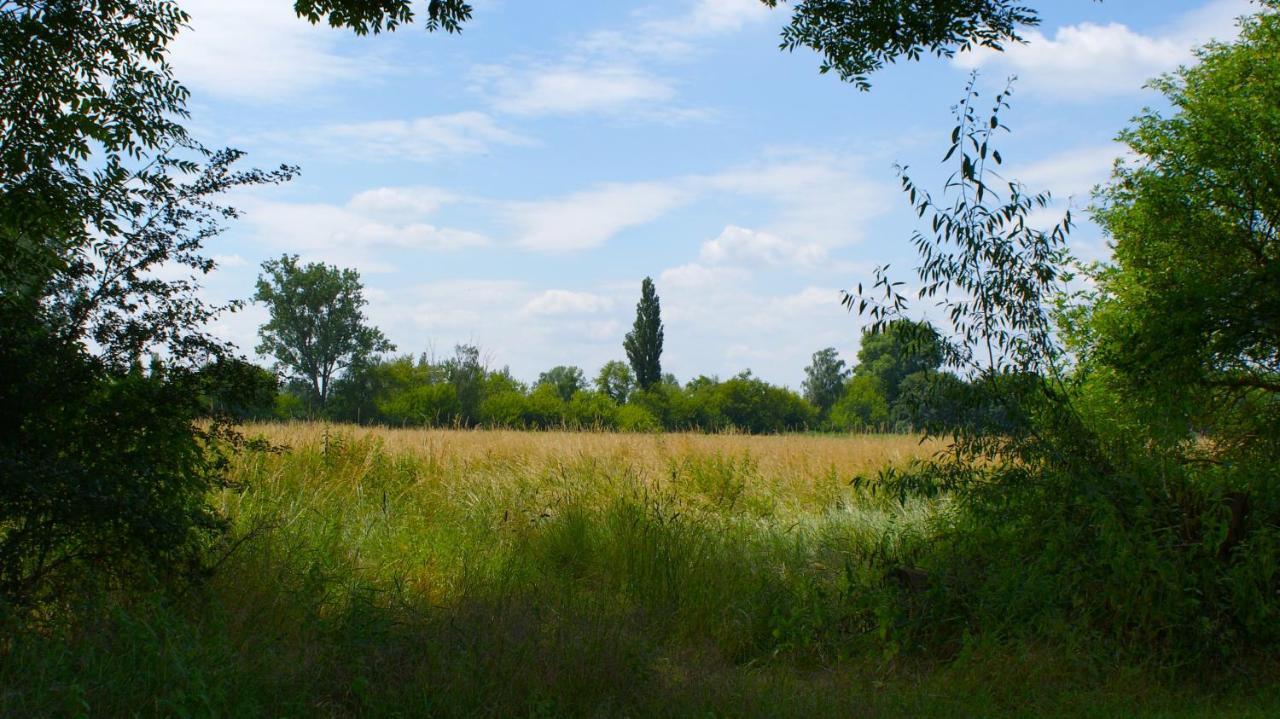 Ferienwohnung Fuchsberge Letschin Buitenkant foto