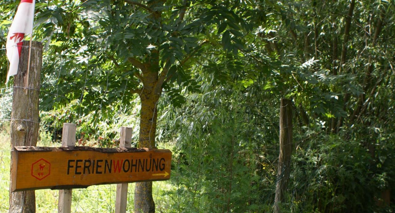 Ferienwohnung Fuchsberge Letschin Buitenkant foto