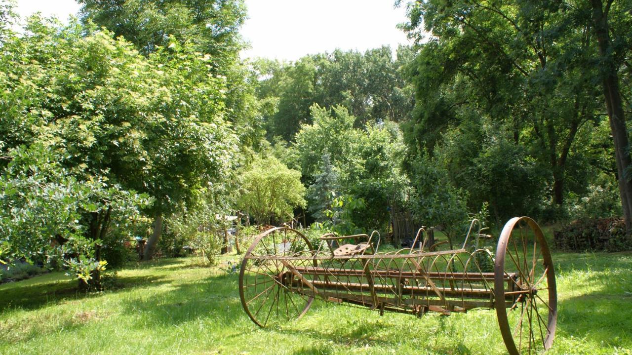 Ferienwohnung Fuchsberge Letschin Buitenkant foto